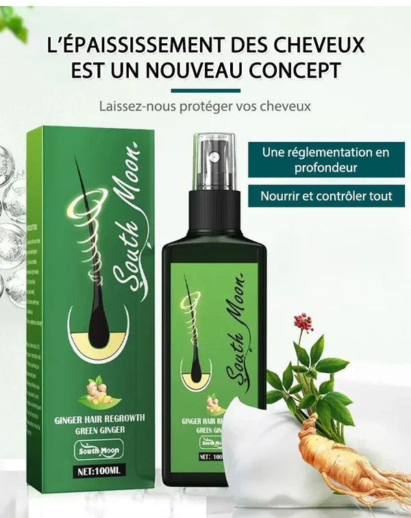 HairVitaX – Soin Puissant Pousse Cheveux